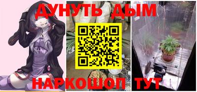 стаф Краснодар
