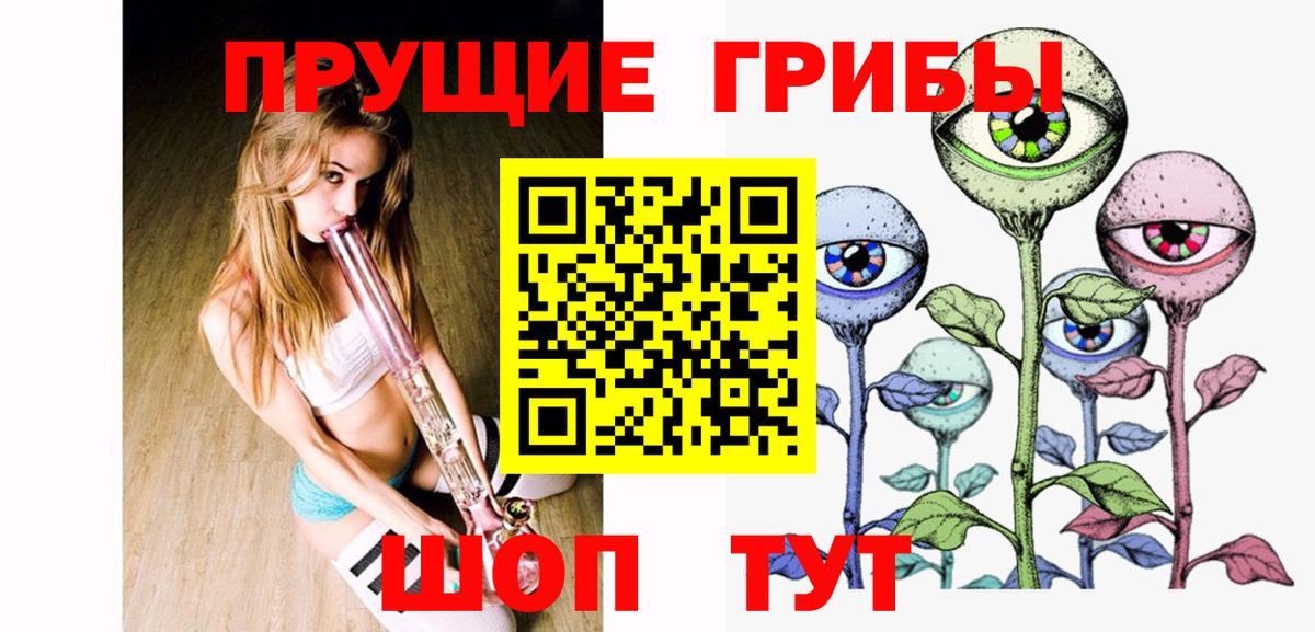 Галлюциногенные грибы Psilocybe  Вход с VPN  Кизляр 
