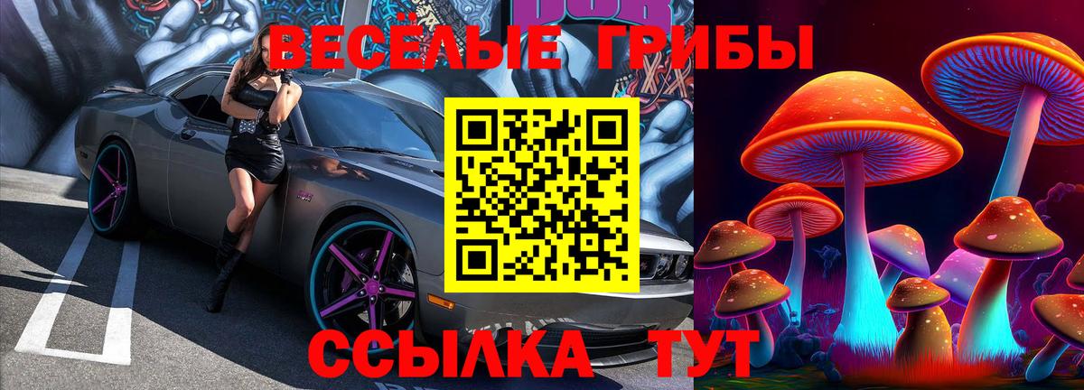 Галлюциногенные грибы MAGIC MUSHROOMS Кизляр